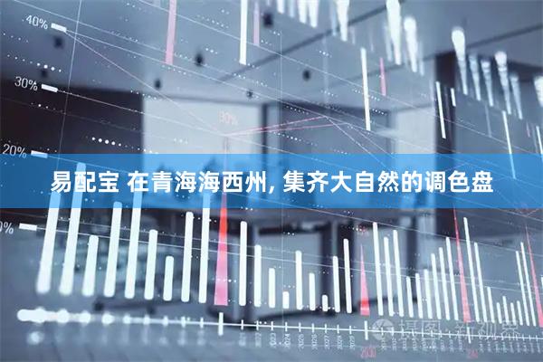 易配宝 在青海海西州, 集齐大自然的调色盘
